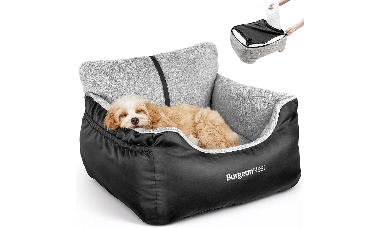 Featured product: BurgeonNest Dog Car Seat for Small Dogs (Amazon listing image)