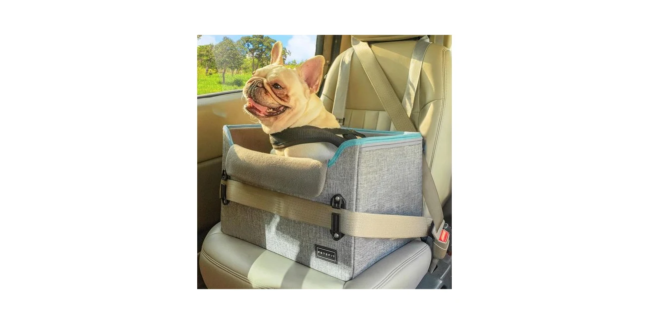 Featured product: PETSFIT dog car seat with patented safety buckles for a small dog (Amazon listing image)