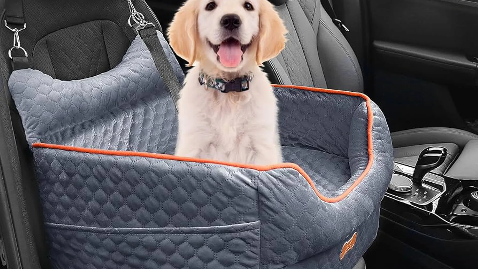 Dog booster car seat with golden retriever puppy