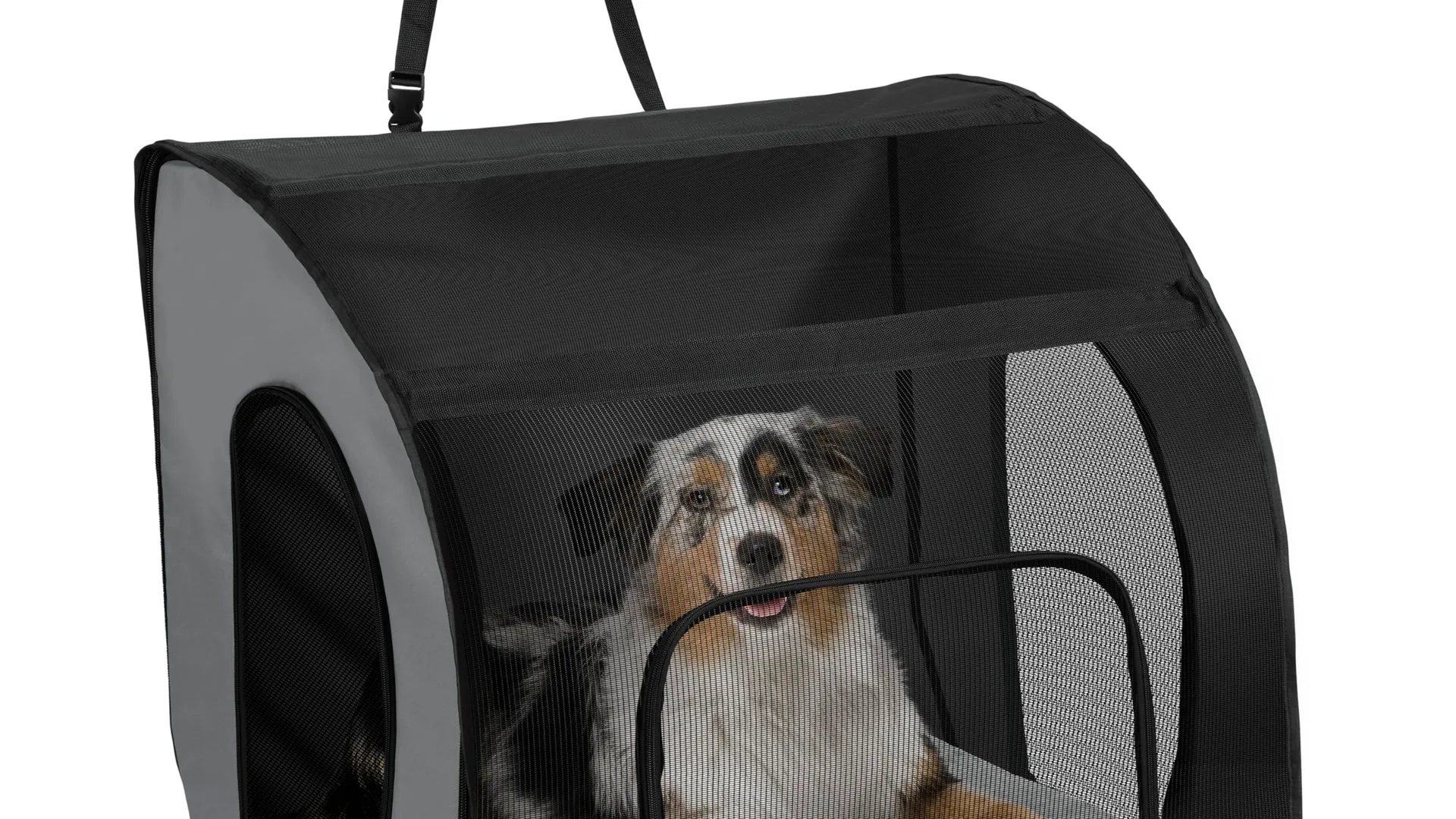 Australian Shepherd inside soft-sided dog car carrier
